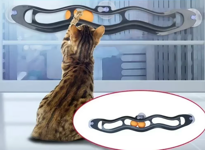 Window cat track toy featuring multiple movable balls, mounted on glass with strong suction cups for pet fun.