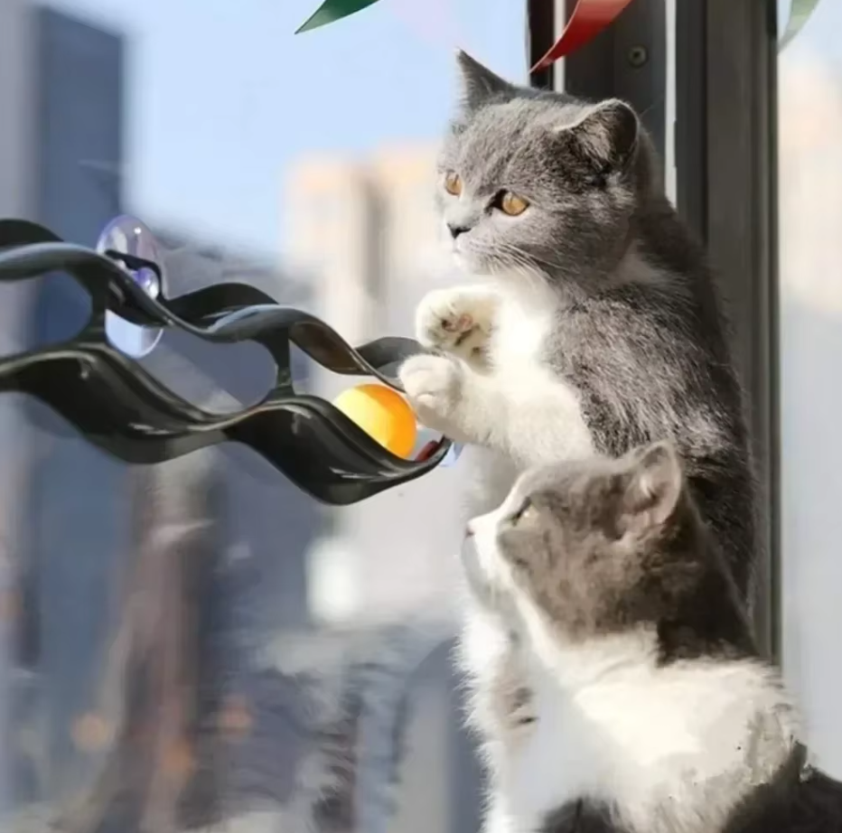 Detailed view of the durable plastic construction of an interactive window-mounted cat play track.