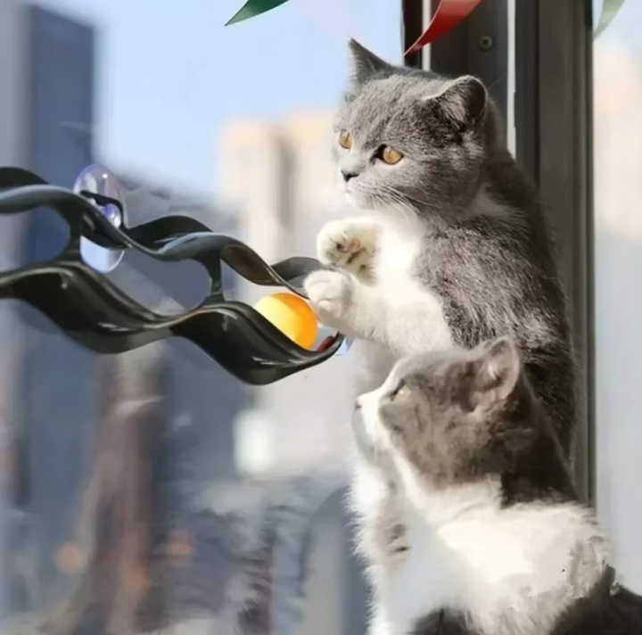 Detailed view of the durable plastic construction of an interactive window-mounted cat play track.