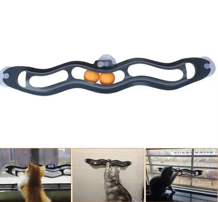 Two cats observing and playing with the engaging balls inside an interactive window track enrichment toy.
