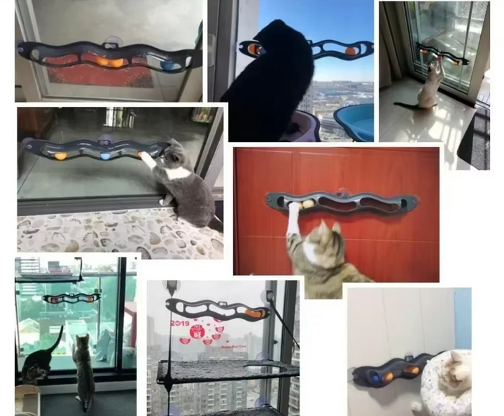 Secure suction cups holding an interactive cat play track toy firmly on a window, ready for feline action.