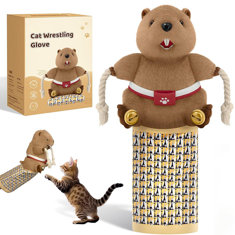 Interactive wrestling glove cat toy, a soft puppet for playful pet training and durable exercise.