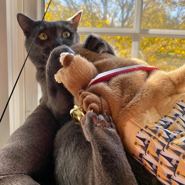 Cat toy wrestling glove, a soft and durable interactive puppet for stimulating pet play and exercise.