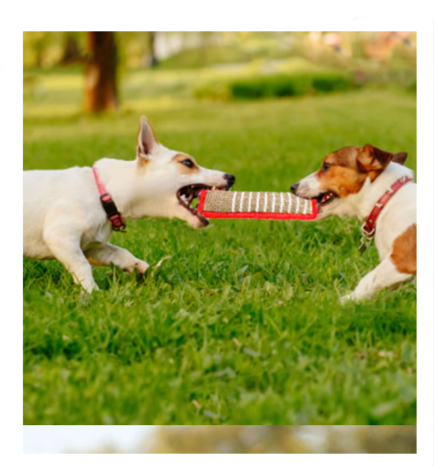 Jute dog bite tug toy with two handles for puppy training and interactive play