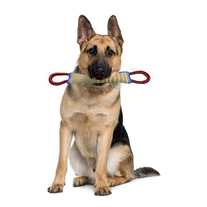 Adult dog training jute tug toy designed for durable bite work and interactive games