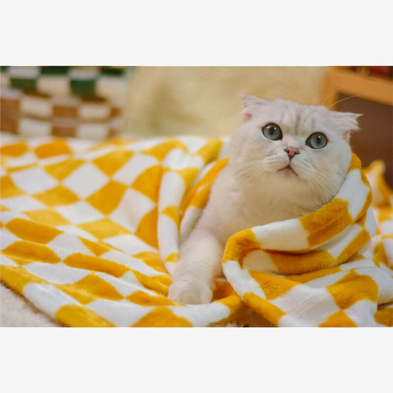 Unrolled chequered flannel pet blanket, highlighting its ample size and durable material for pets