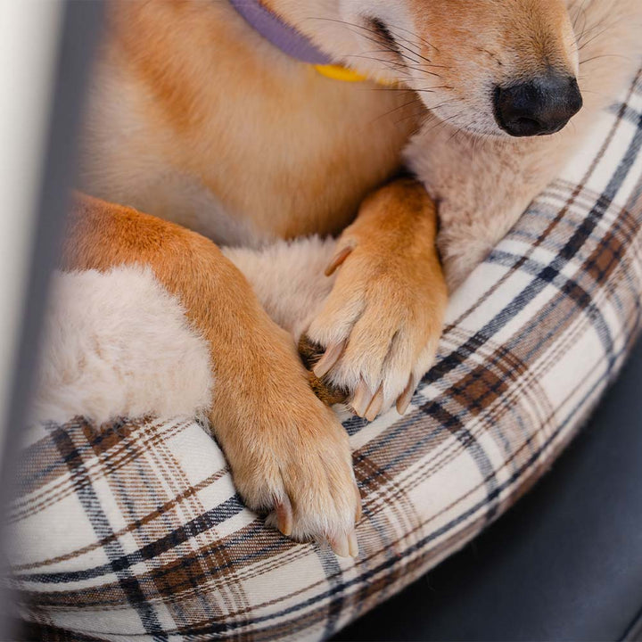 Brown pet car booster seat with soft lining, essential for safe and comfortable dog travel.