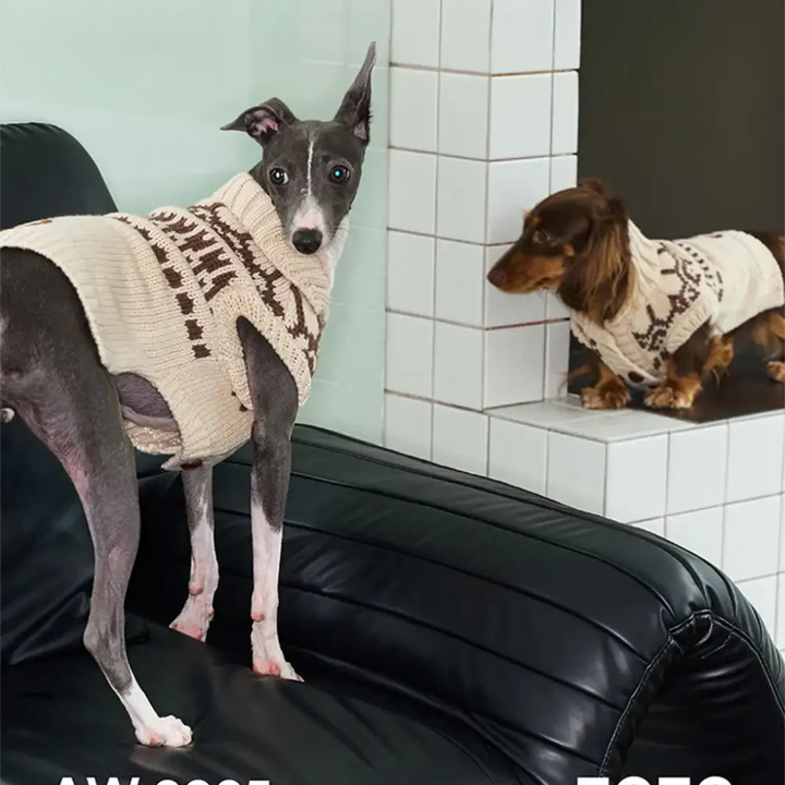 Close-up of a khaki Fair Isle pattern on a sleeveless dog jumper, ideal for long-bodied breeds