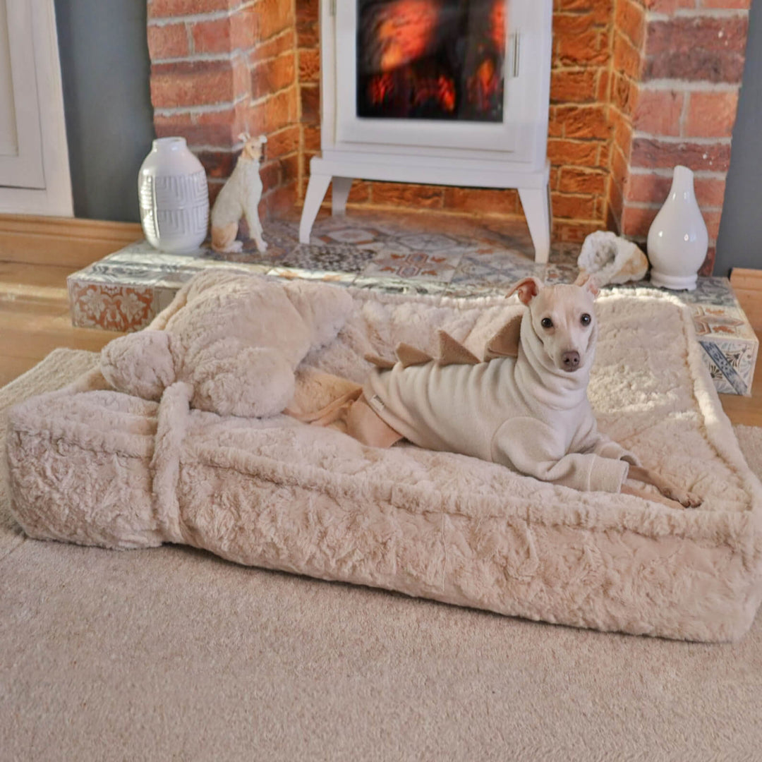 Khaki fluffy bone cloud dog bed with removable bone pillow, round, washable for pet comfort.