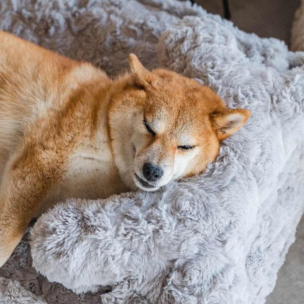 Grey warming dog bed, soft bone pillow, round shape, premium comfort for pets, easy to clean.