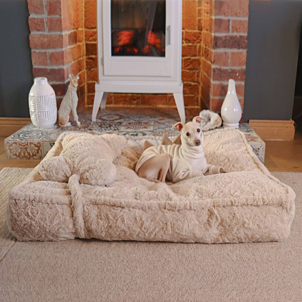 Grey plush warming pet bed, bone-shaped pillow, soft and washable for canine joint support.
