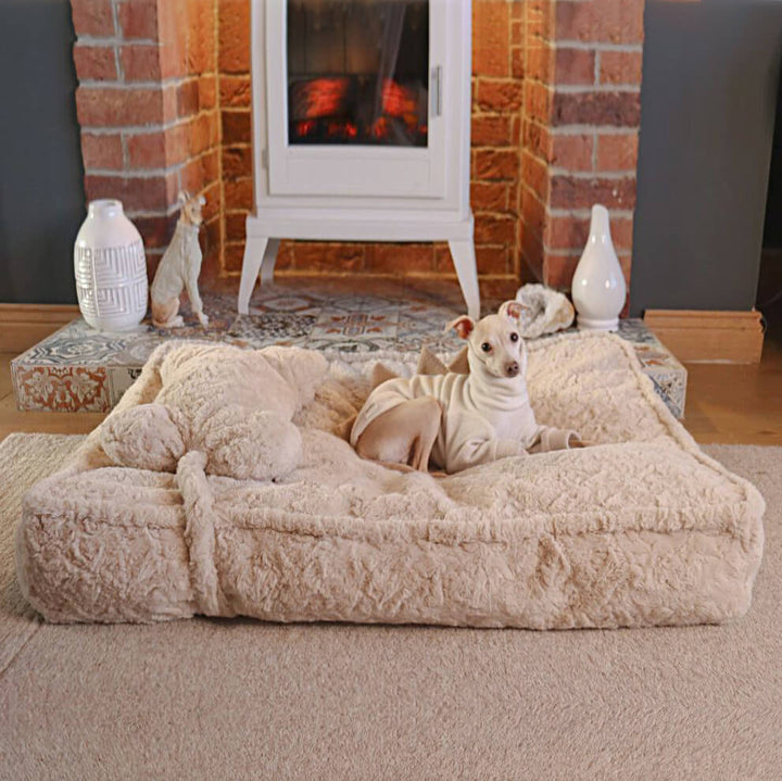 Grey plush warming pet bed, bone-shaped pillow, soft and washable for canine joint support.