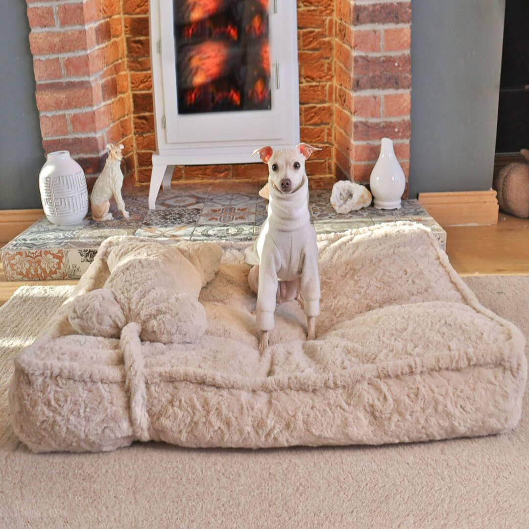 Unisex calming dog bed set: fluffy round bed in khaki with a matching bone-shaped pillow.