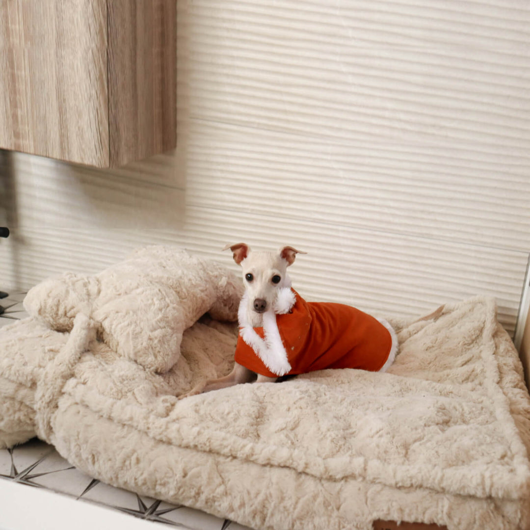 Soft grey pet warming bed, cloud-like comfort, features a detachable bone pillow, washable design.