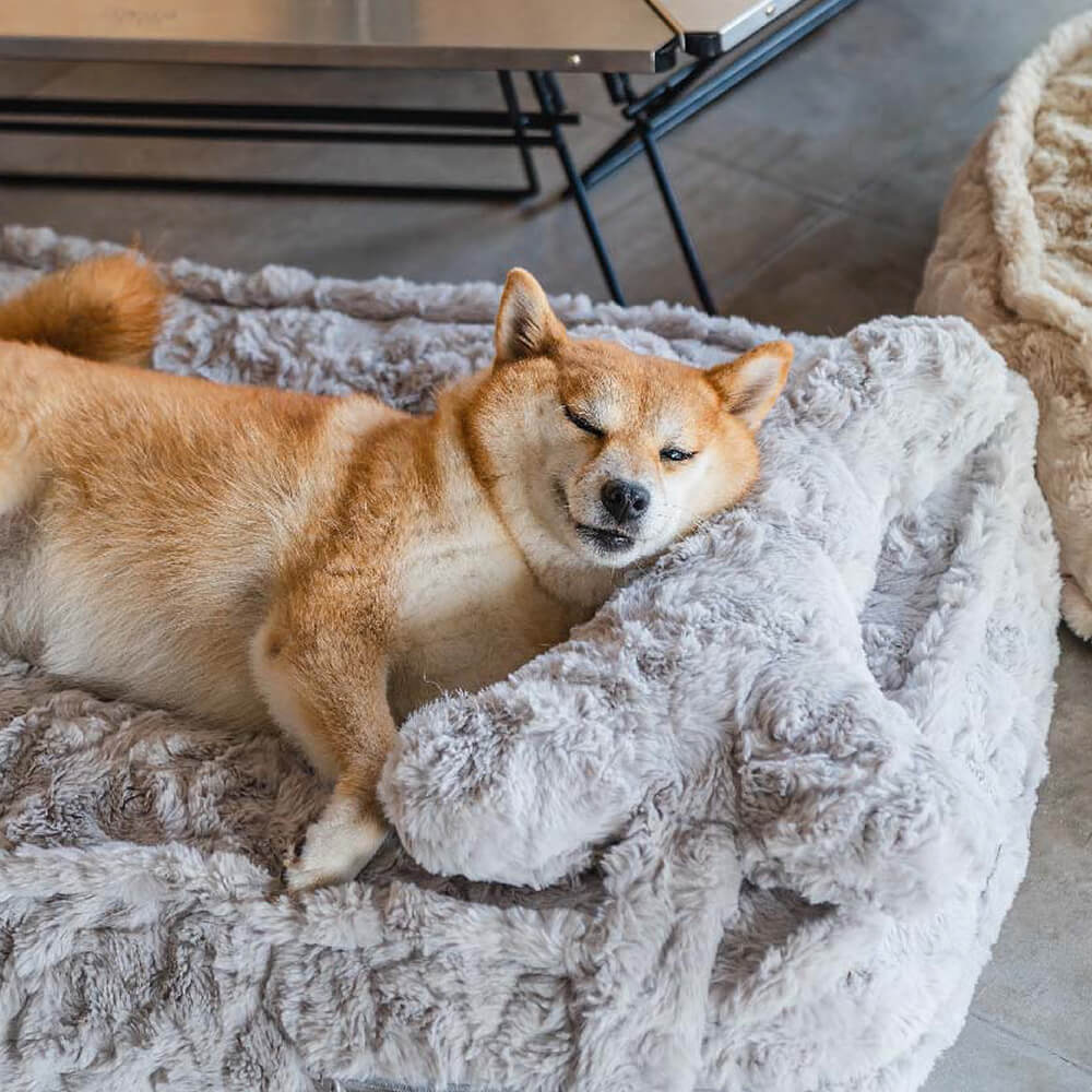 Washable grey dog bed, bone pillow included, fluffy cloud design for ultimate pet comfort and warmth.