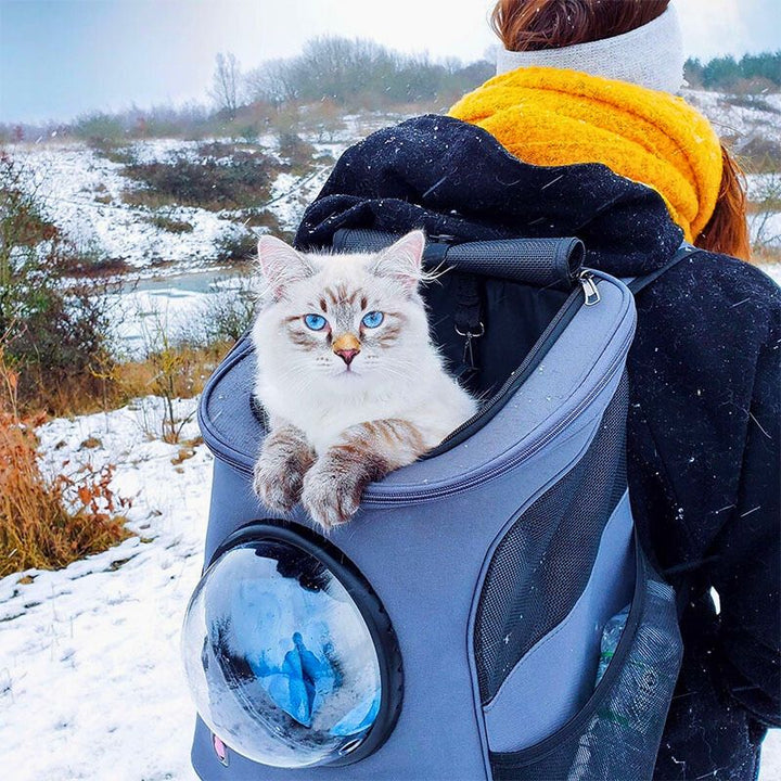 Comfortable pet travel bag with shoulder strap and handles, a practical choice for cat and small pet owners.