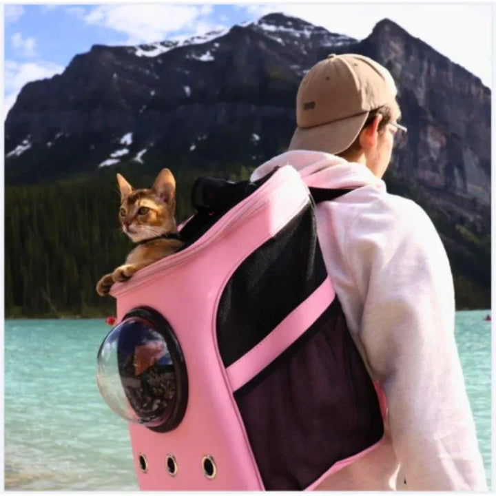 Close-up of pet travel carrier front showing zippered entry and breathable mesh, suitable for cats.