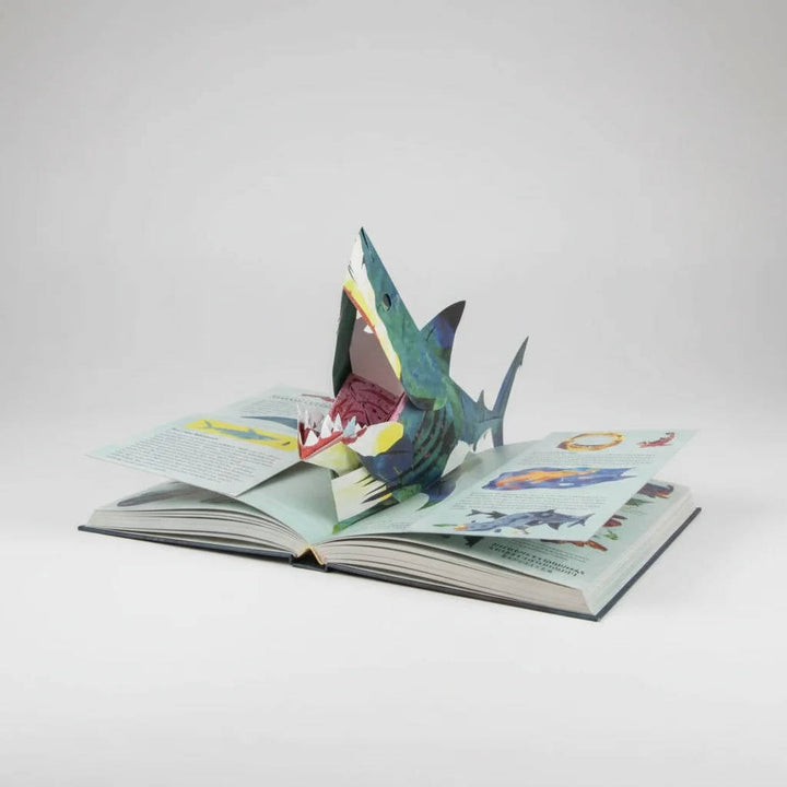 Engaging kids' 3D pop-up dinosaur book, fostering screen-free learning, discovery & adventure in prehistoric times.