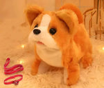Shiba Inu