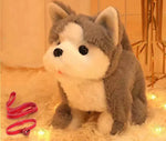 Huskies