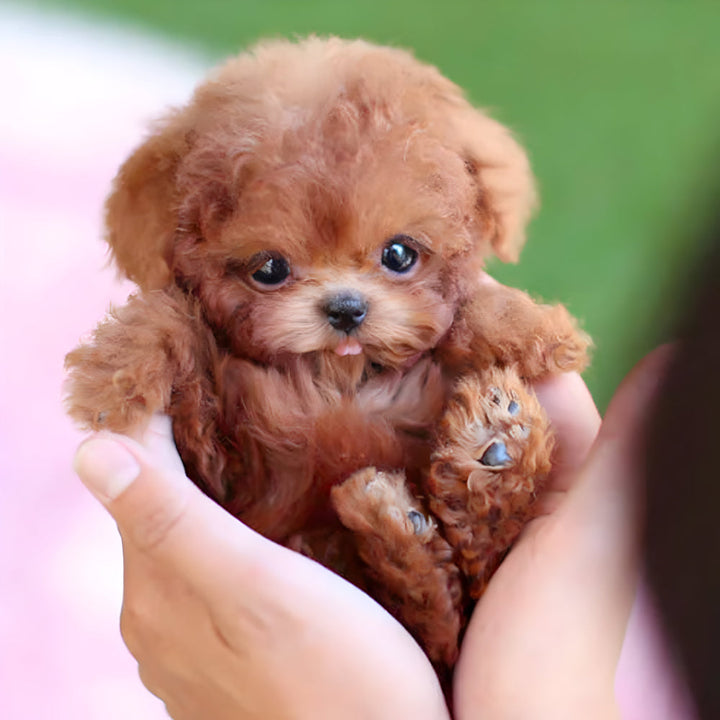 Kids' interactive realistic puppy robot toy. A walking robotic pet for children, offering engaging play.