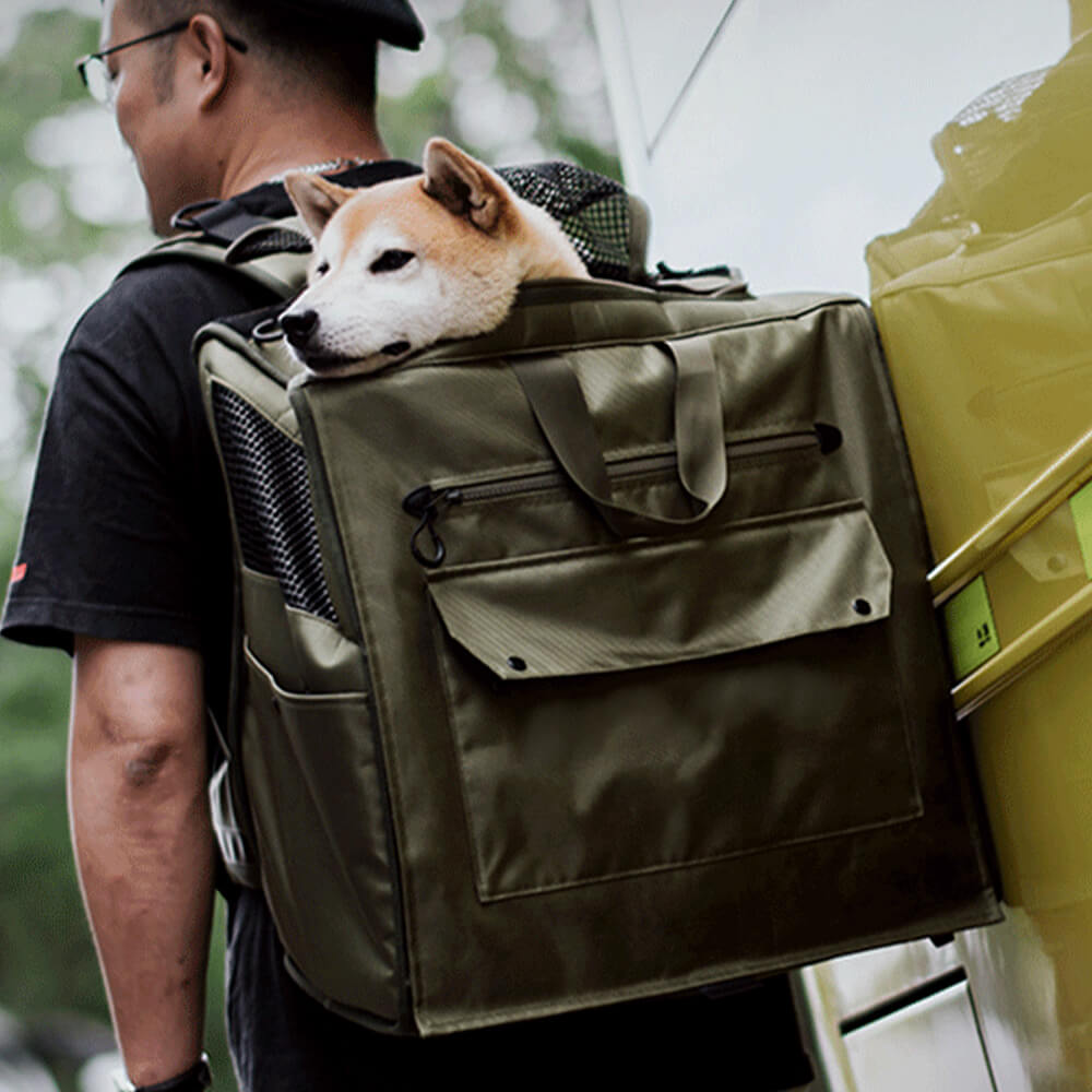 Large breathable pet carrier backpack for travel, front view, dogs