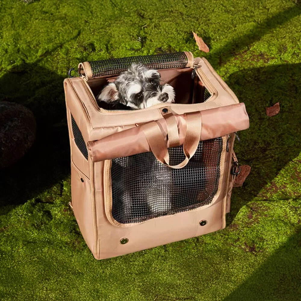 Dog carrier backpack, ergonomic design for pet travel comfort