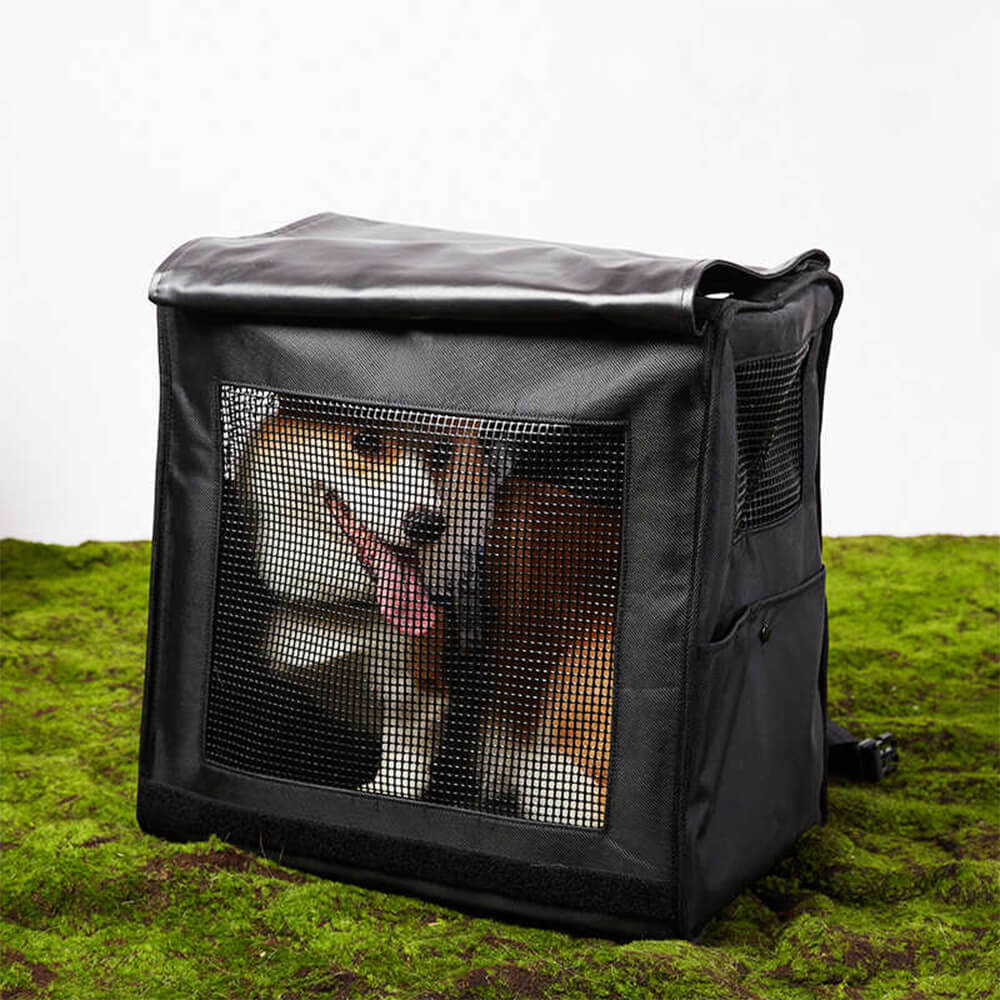 Pet supplies: travel backpack for cats, with clear visibility panel