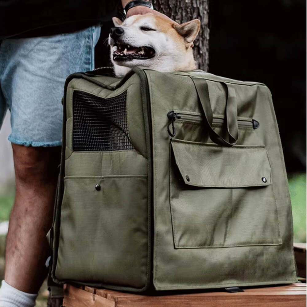 Breathable pet travel backpack for small pets, side zipper access