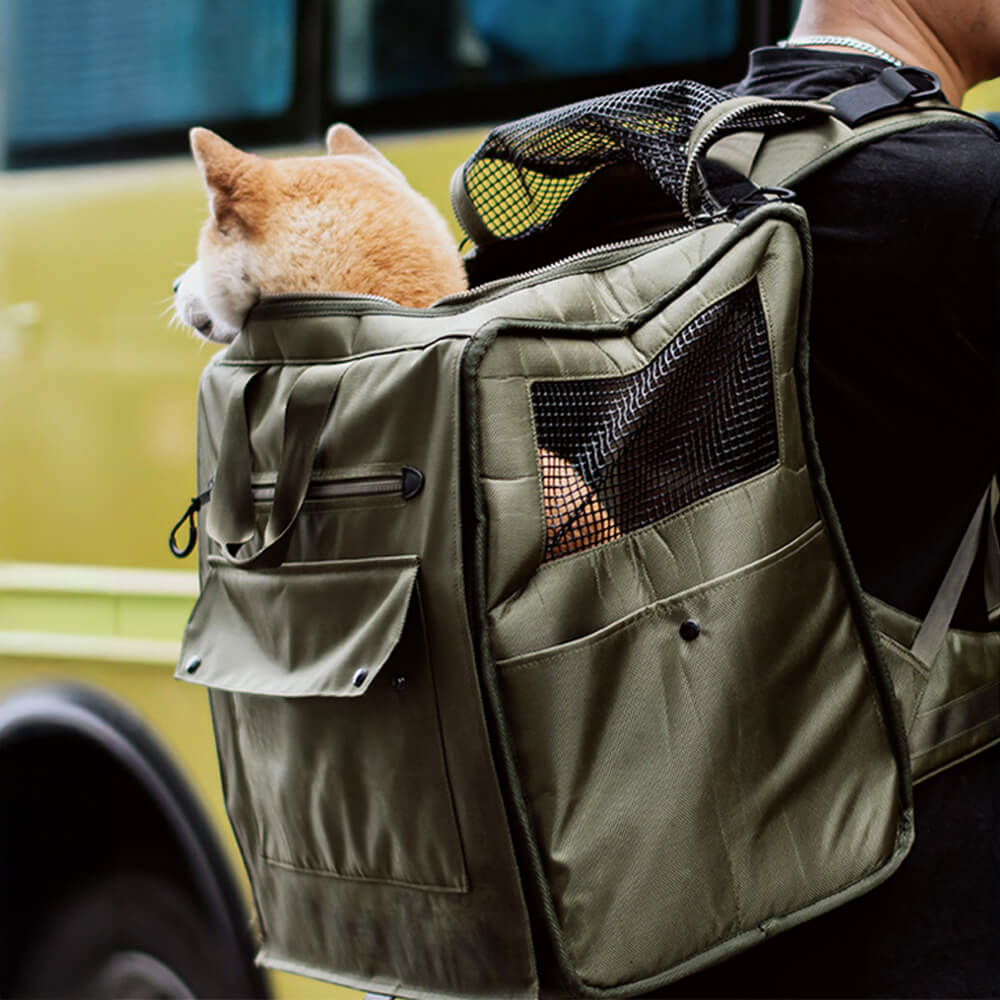 Large pet travel backpack, secure and comfortable for dog or cat