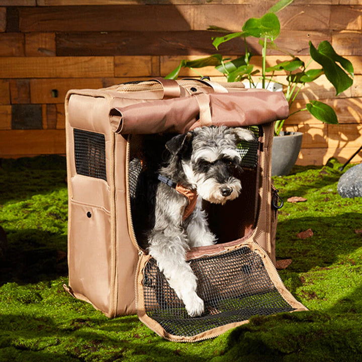 Waterproof pet carrier backpack for hiking, with ample ventilation