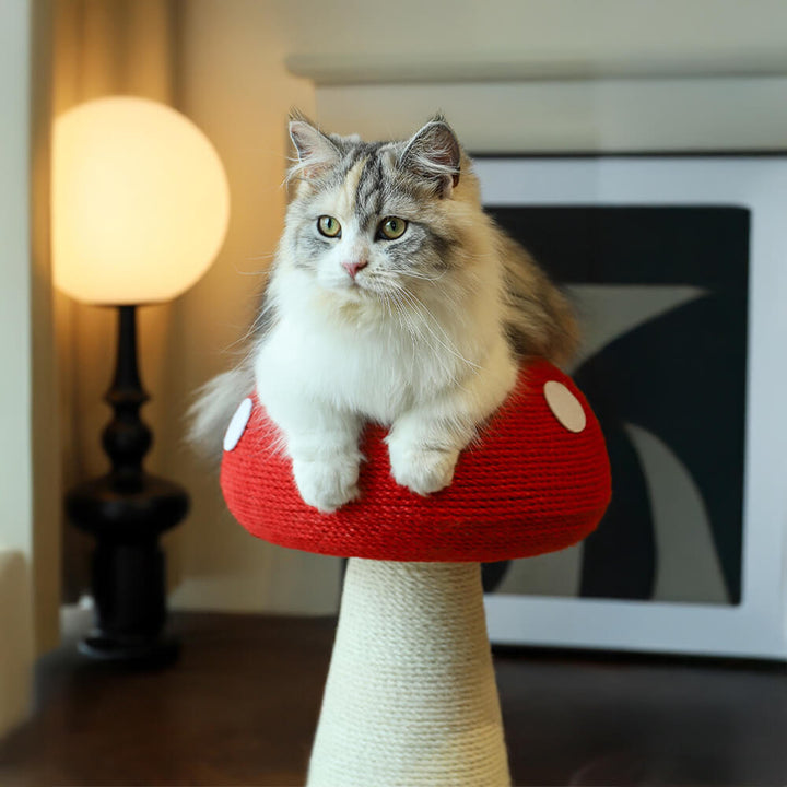 Premium natural sisal mushroom scratcher, designed for large cat breeds' scratching needs