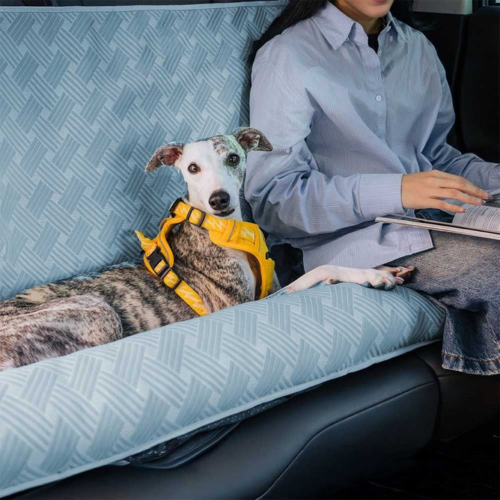 Pet car safety: dog in a comfortable, gray cooling bolster seat secured in a vehicle.