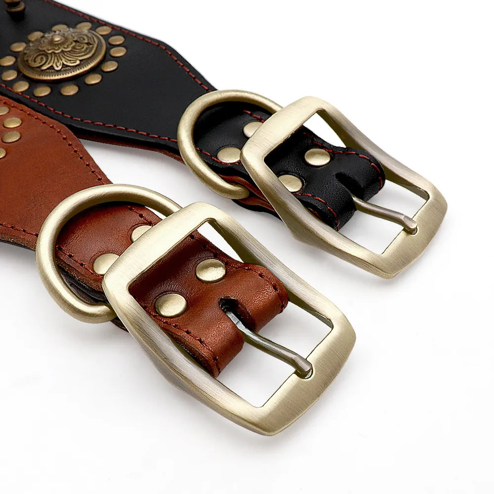 Close-up of a large dog leather collar displaying detailed rivets and brushed metal accents