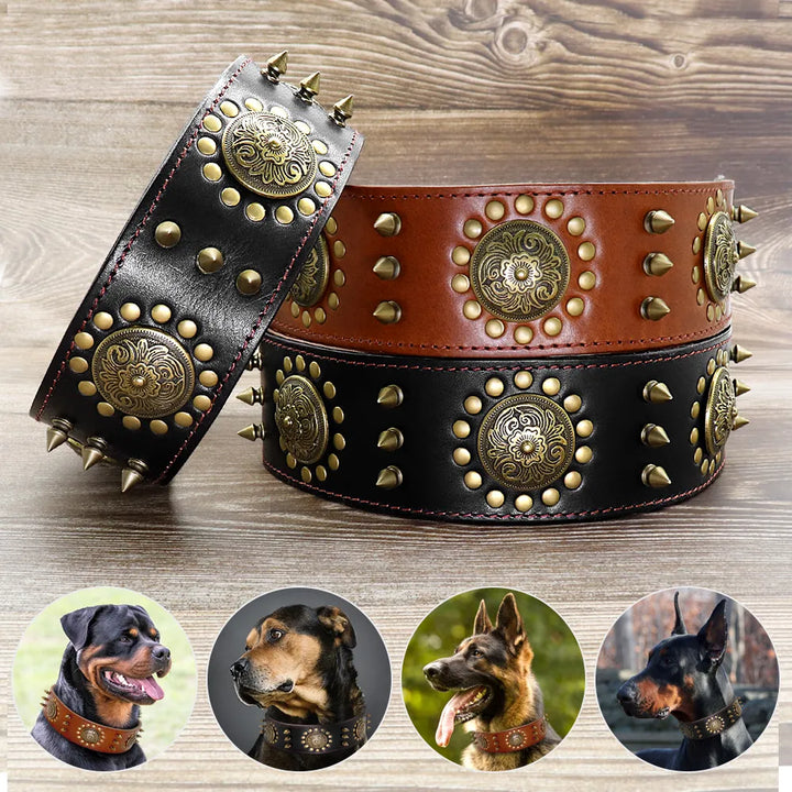 Durable leather dog collar featuring tough rivets and stylish metal details, for large breeds