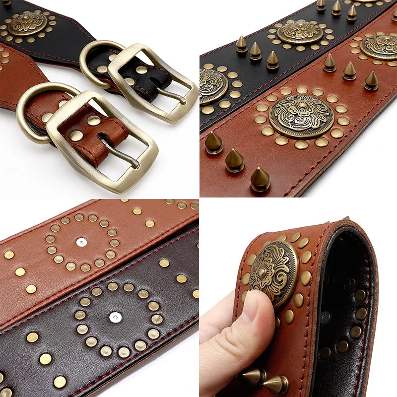 Wide large dog leather collar adorned with multiple rivets and metal hardware, a fashionable pet accessory