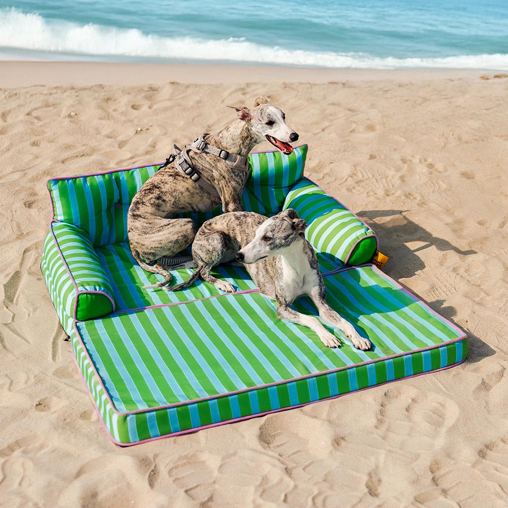 Large dog bed, waterproof, foldable, striped, designed for pet comfort and owner convenience.