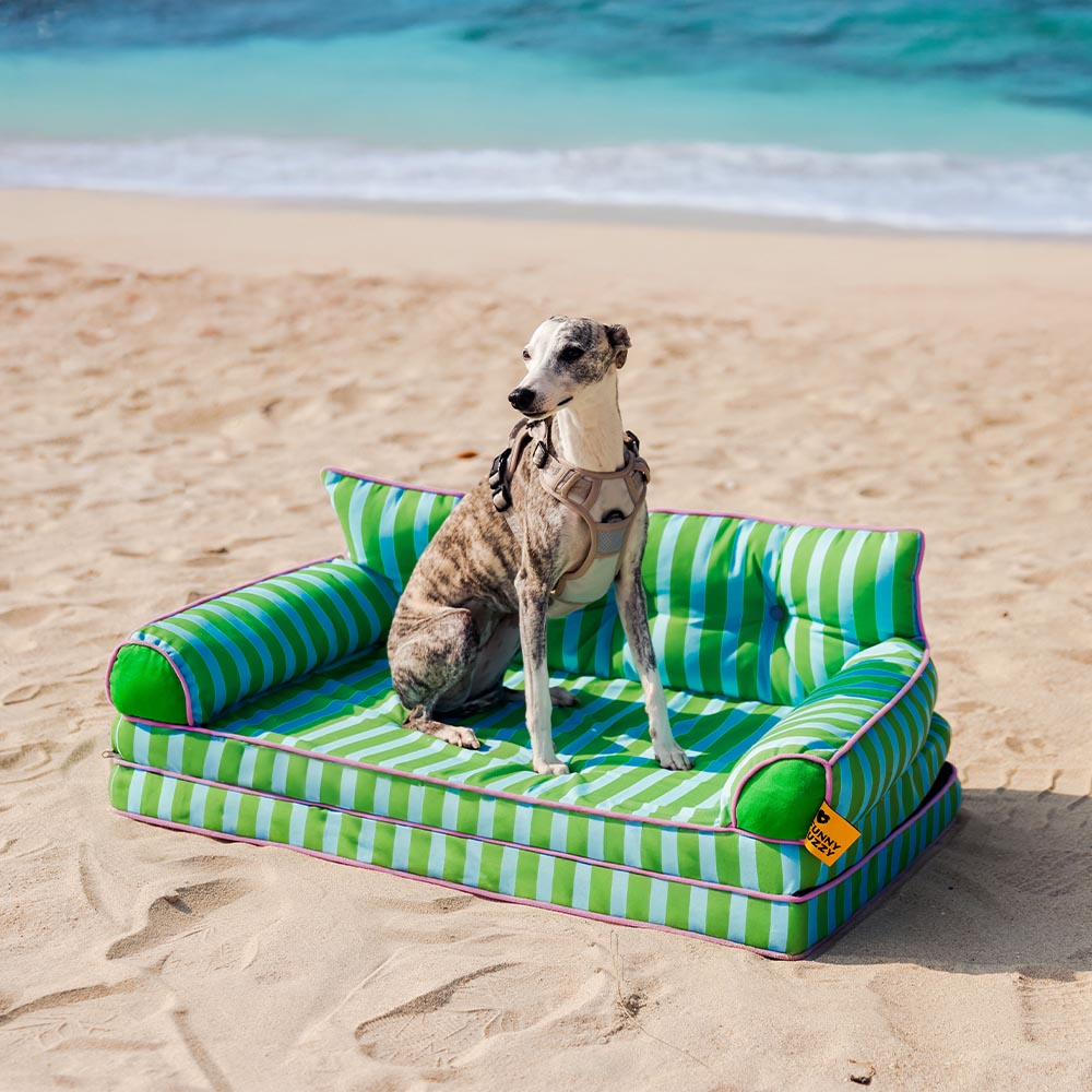Washable waterproof dog sofa bed, foldable, striped, ensuring a hygienic resting place for pets.