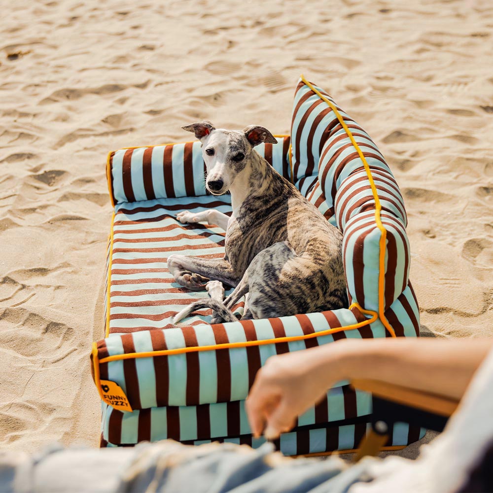 Striped pet bed, waterproof, foldable sofa design, perfect for dogs to relax and unwind.