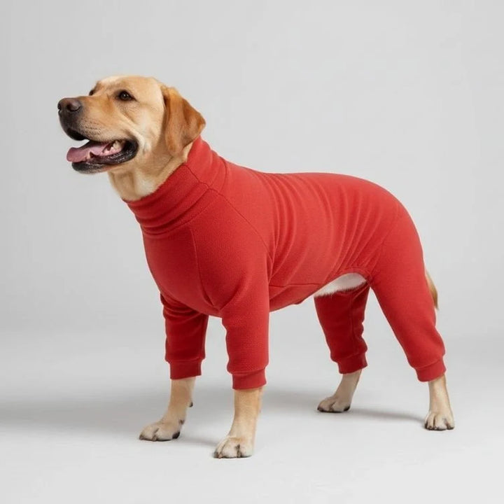 Large dog wearing red fleece pajamas, cozy winter pet sleepwear for big breeds