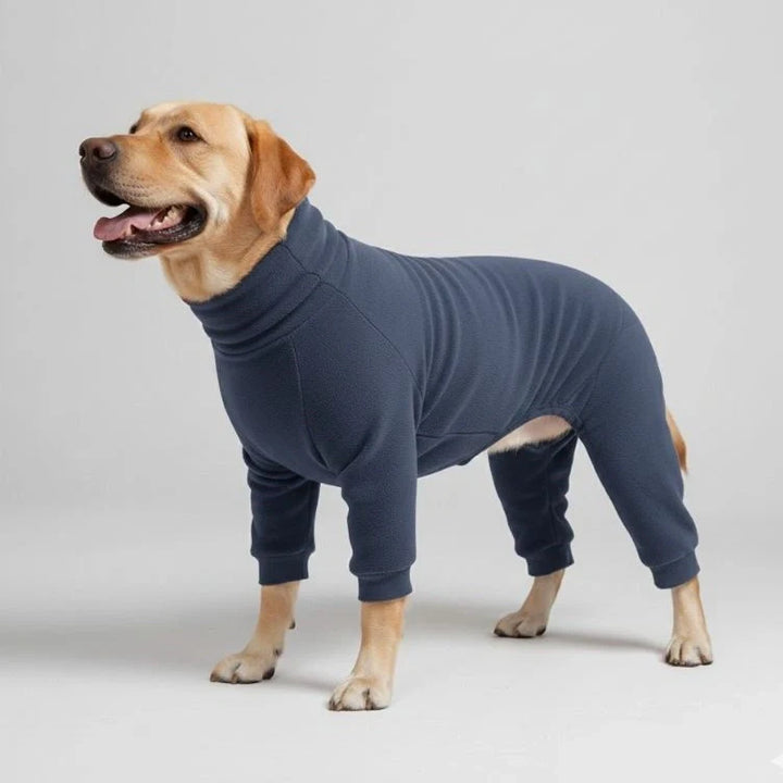 Golden Retriever in blue fleece dog pajamas, warm pet apparel for cold nights