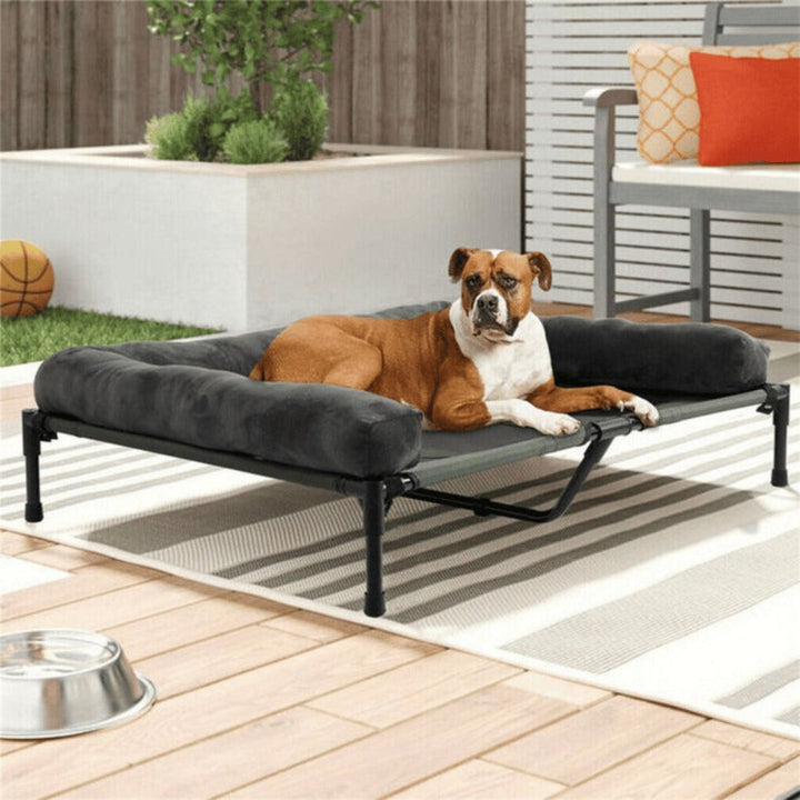 Large elevated bolster bed for a dog, with orthopedic support and washable cover.