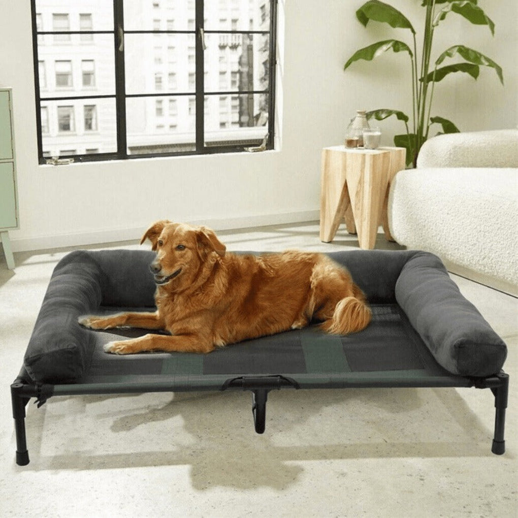Orthopedic dog bed: large elevated bolster design with a sturdy metal frame.