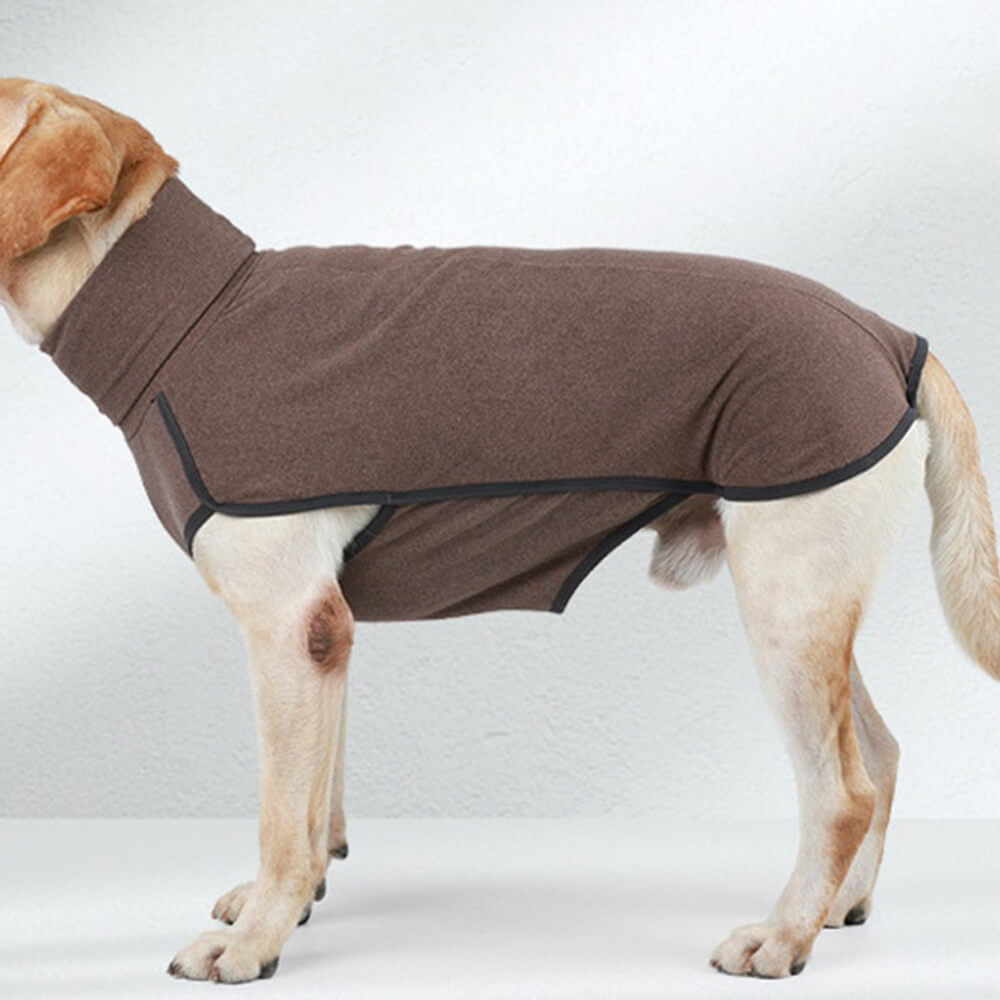Adjustable straps and buckles on a green large dog windproof water-resistant winter coat.