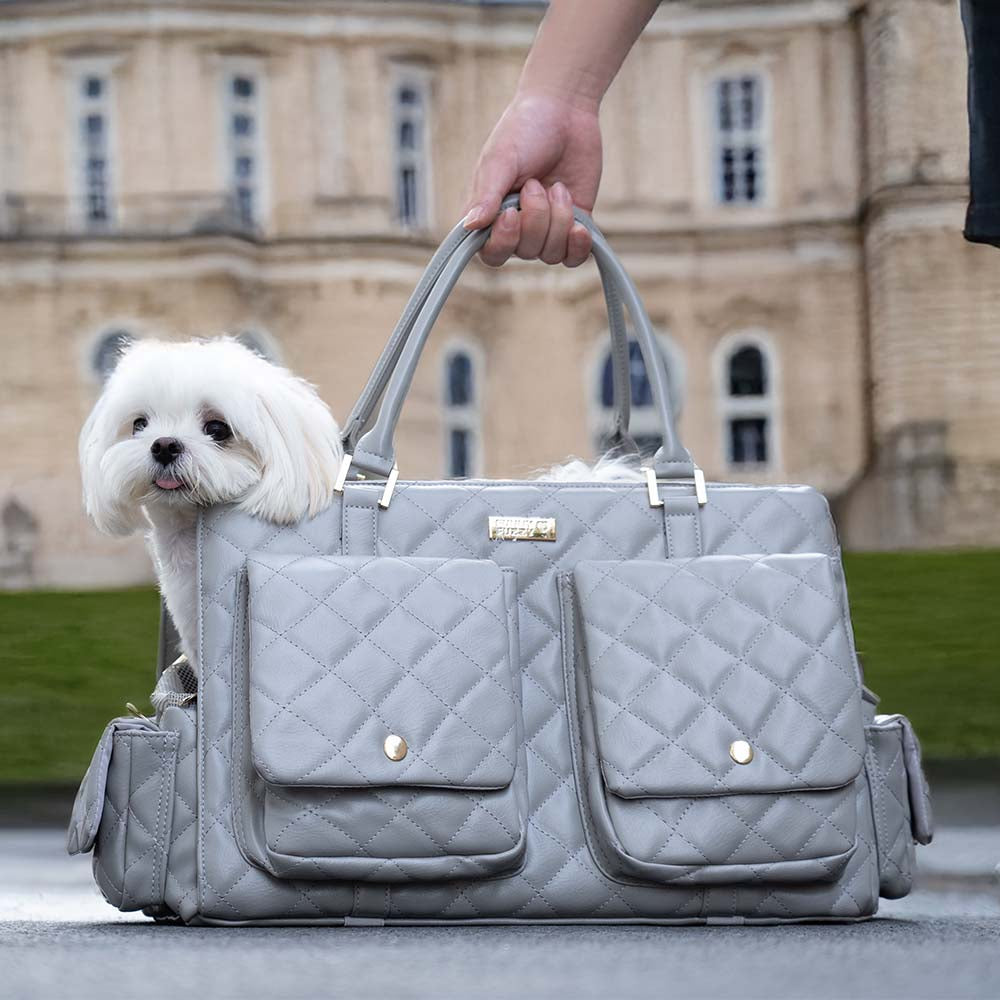 Large pet accessory sling carrier for dogs, lightweight and stylish for urban travel