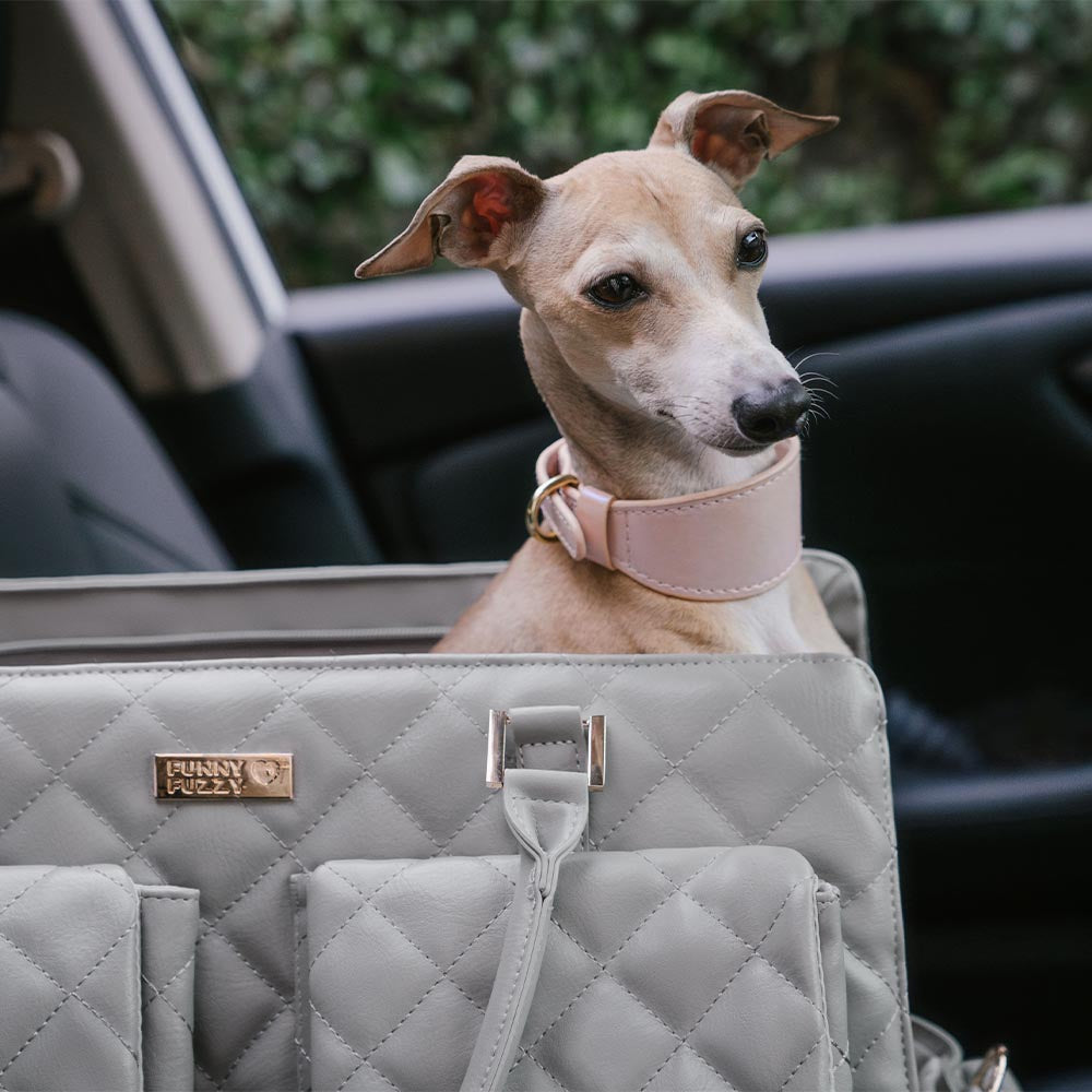 Portable pet travel bag for cats, with a safety leash attachment point inside