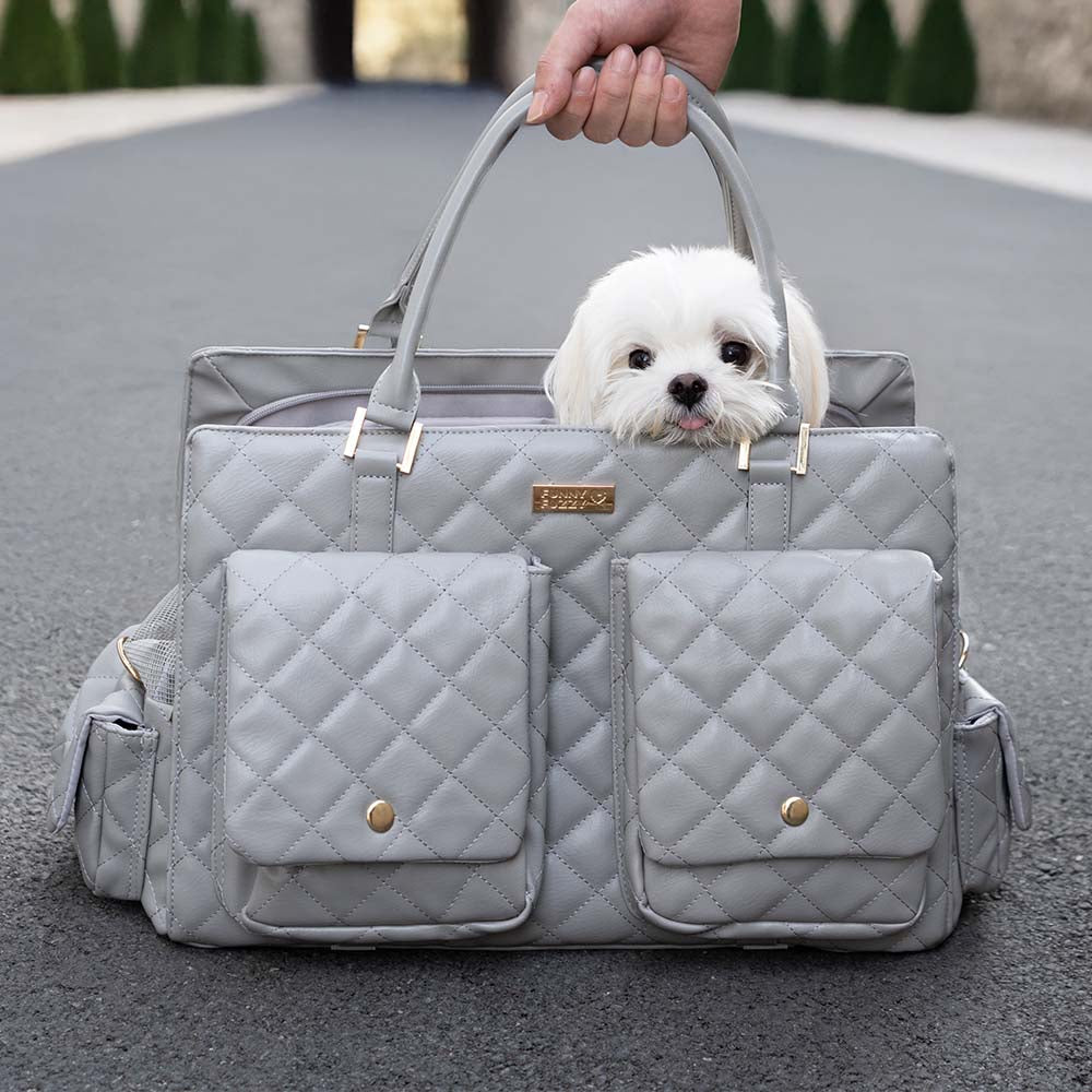Pet safety travel carrier for small dogs, purple, featuring a collapsible design for storage