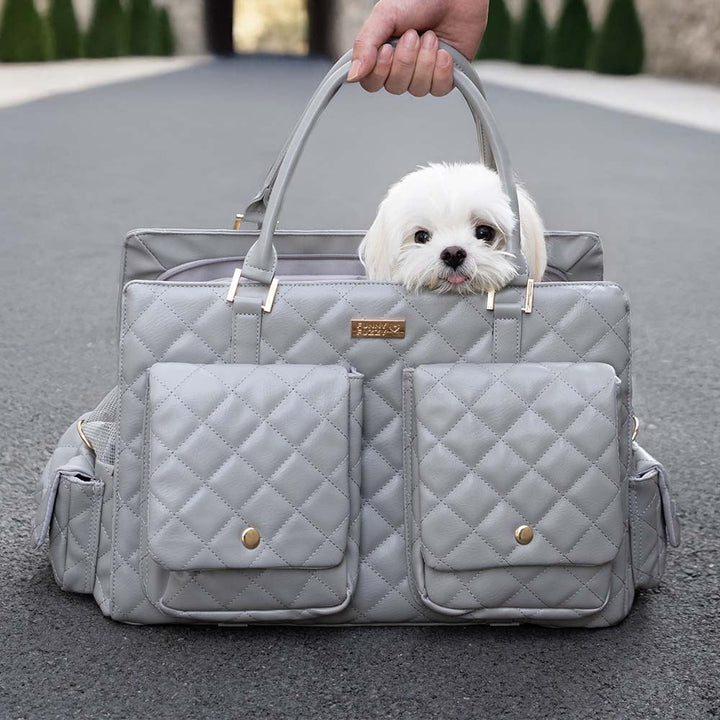 Pet safety travel carrier for small dogs, purple, featuring a collapsible design for storage