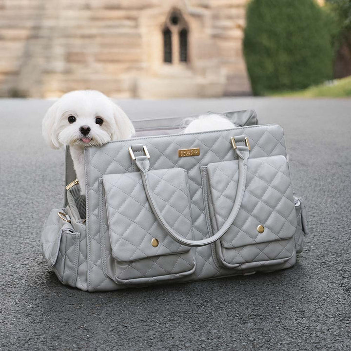 Multi-functional pet accessory carrier, ideal for public transport with your cat