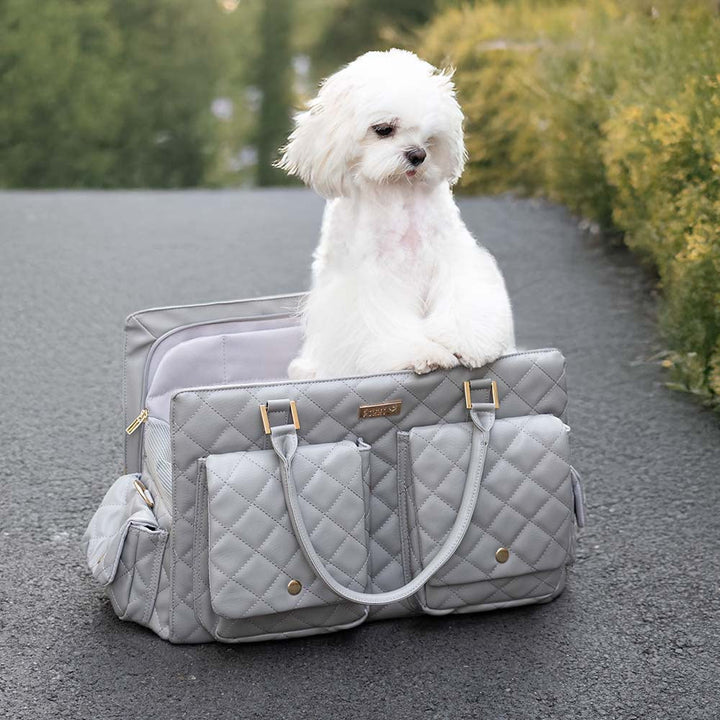 Large pet carrier for cats, light blue, with a secure locking zipper mechanism